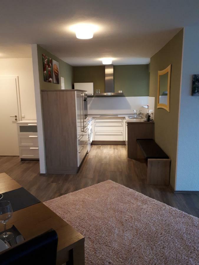Deluxapartment Kaiserslautern Kültér fotó